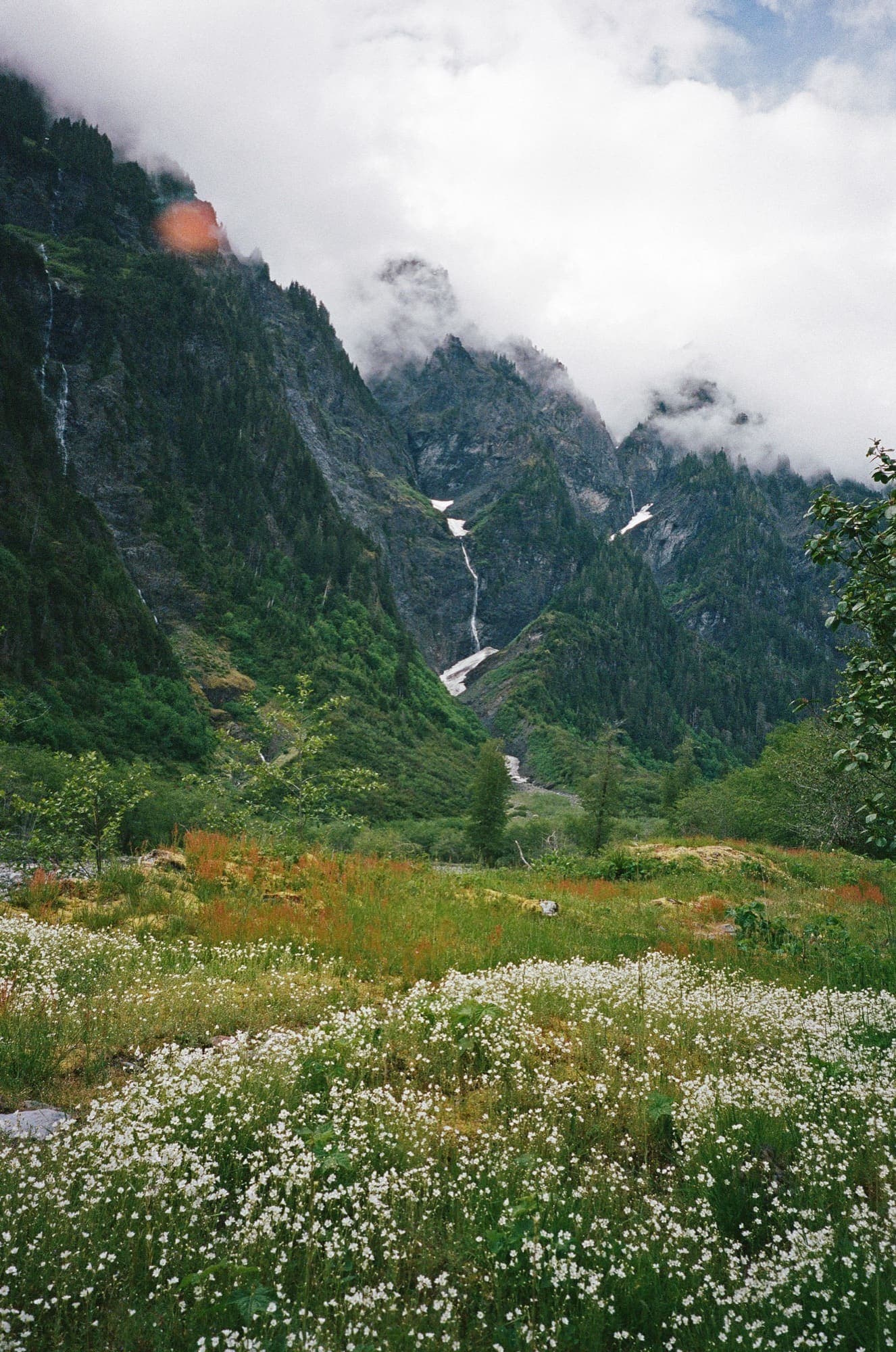 Wild Places on Film