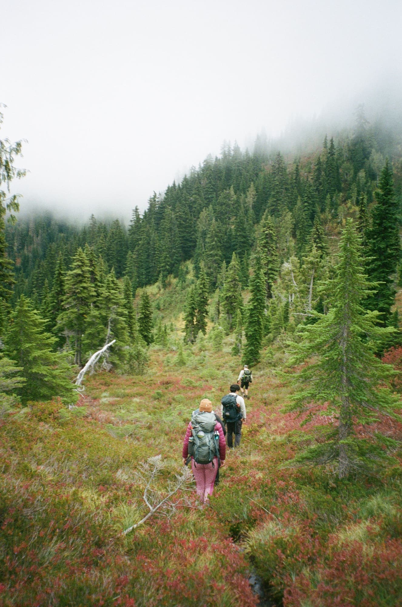 Hiking