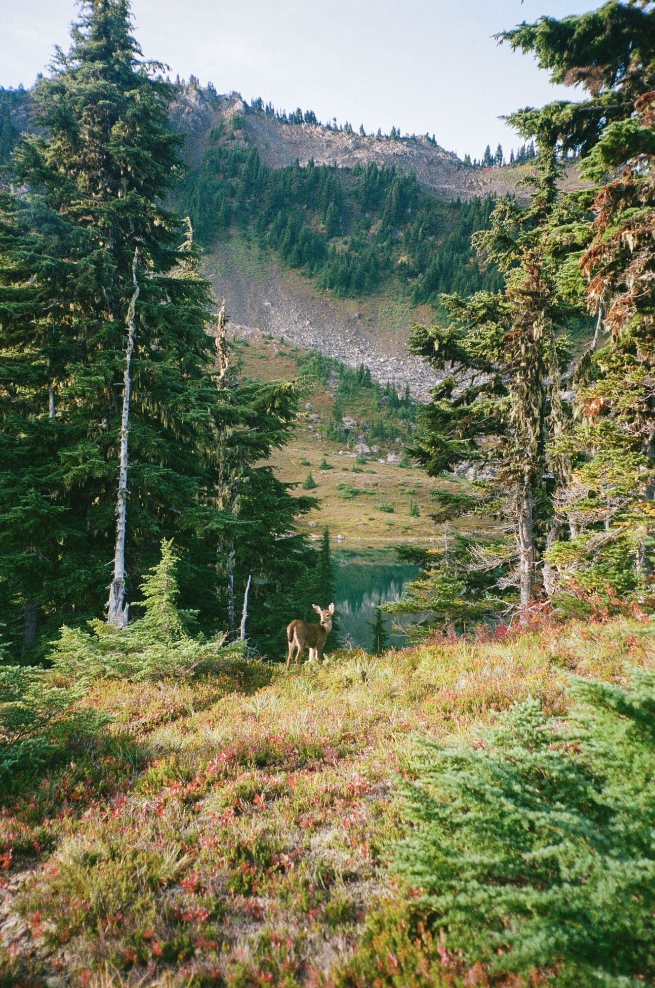 Nature